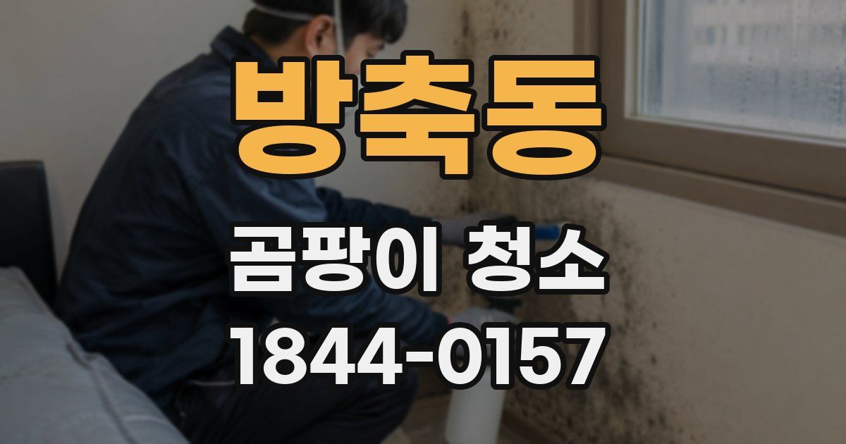 방축동 곰팡이 청소