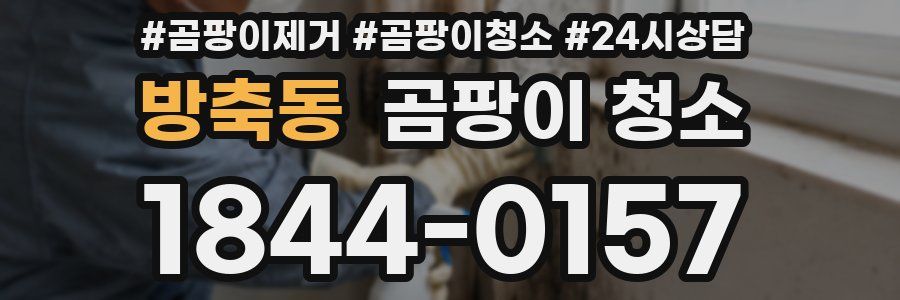 방축동 곰팡이 청소