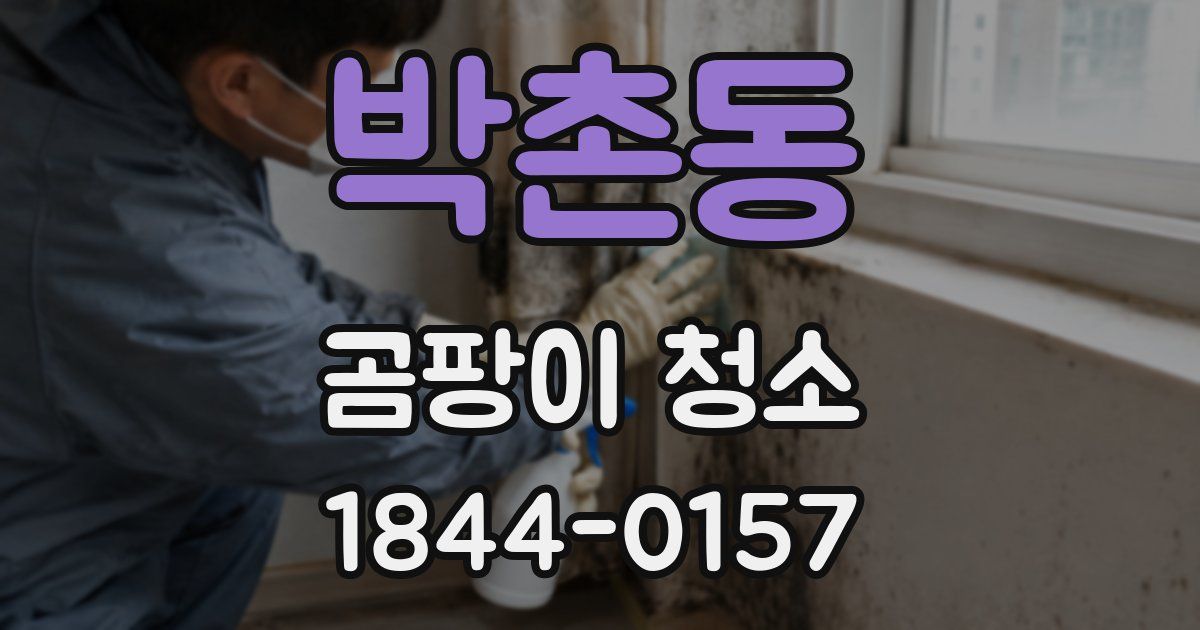 박촌동 곰팡이 청소
