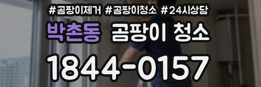 박촌동 곰팡이 청소