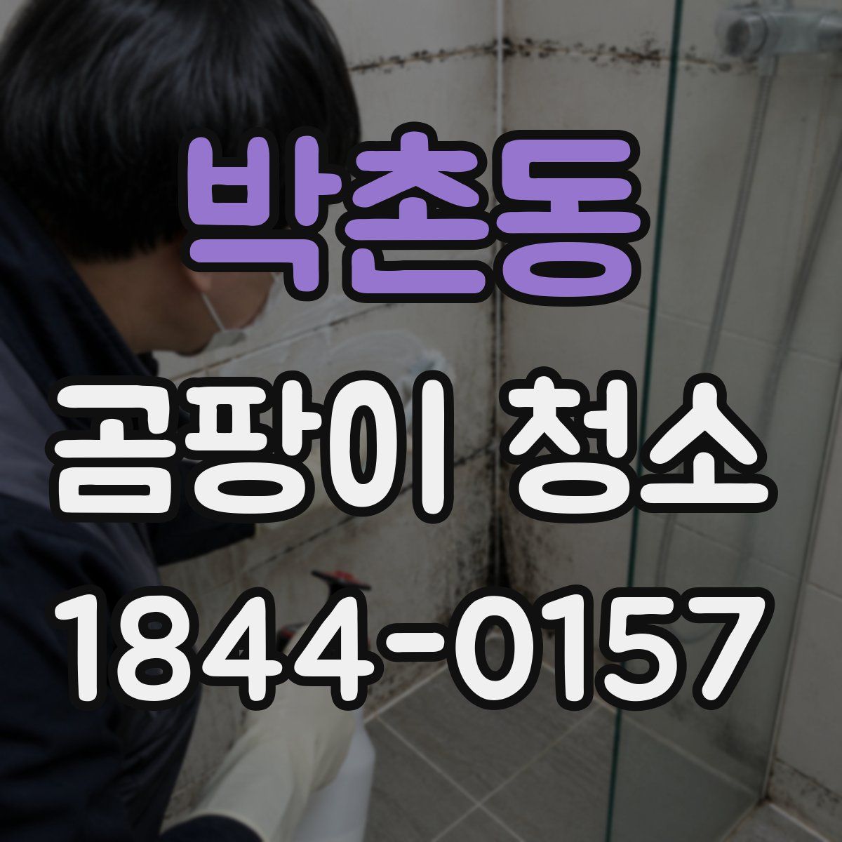 박촌동 곰팡이 청소