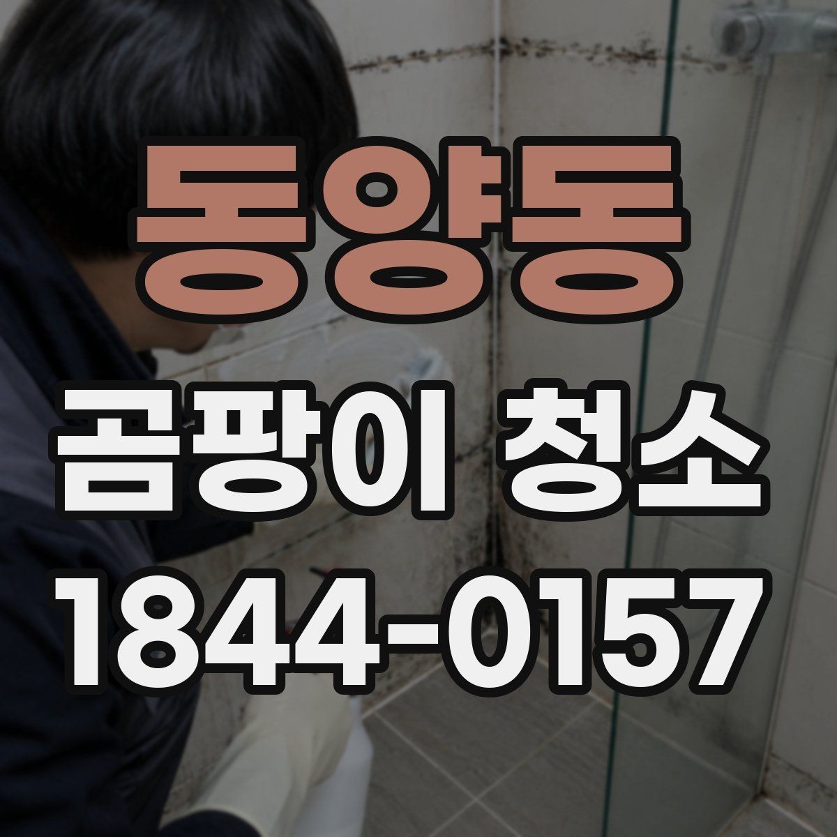 동양동 곰팡이 청소 자국이 깊어 보일 때 표면별로 구분하는 법