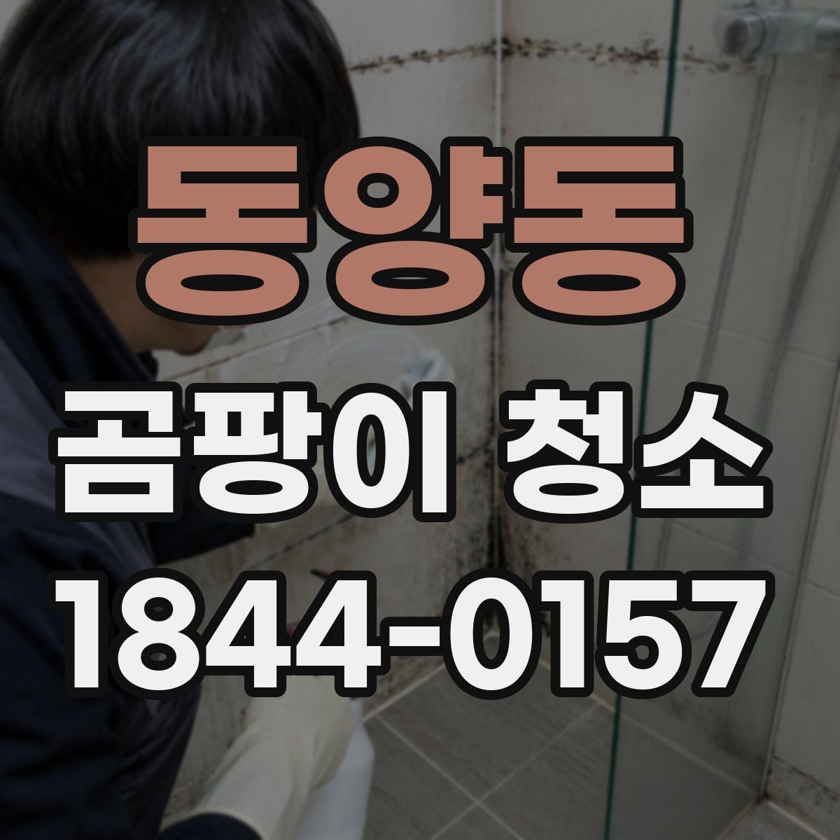 동양동 곰팡이 청소
