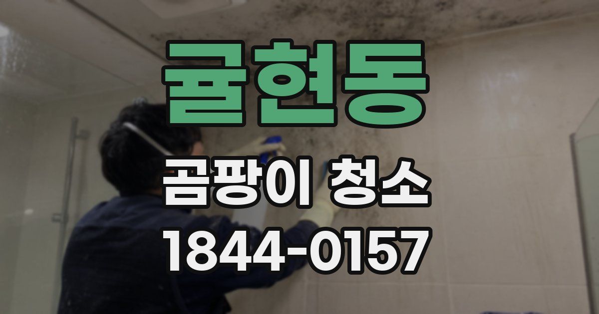 귤현동 곰팡이 청소