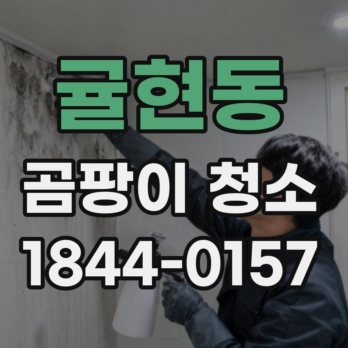 귤현동 곰팡이 청소