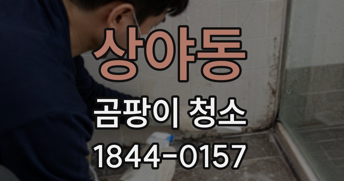 상야동 곰팡이 청소