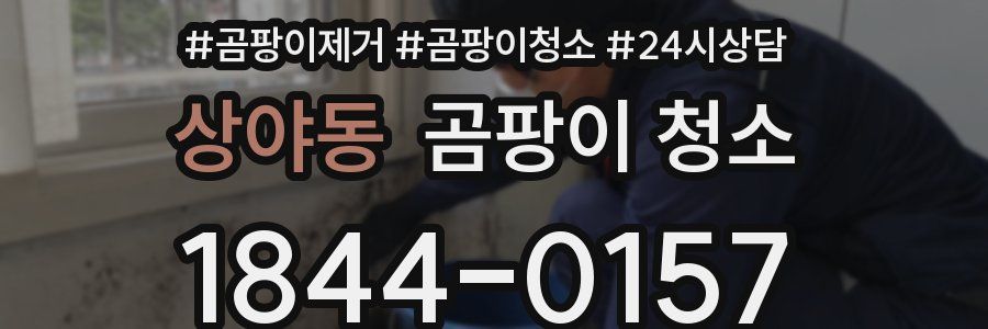 상야동 곰팡이 청소