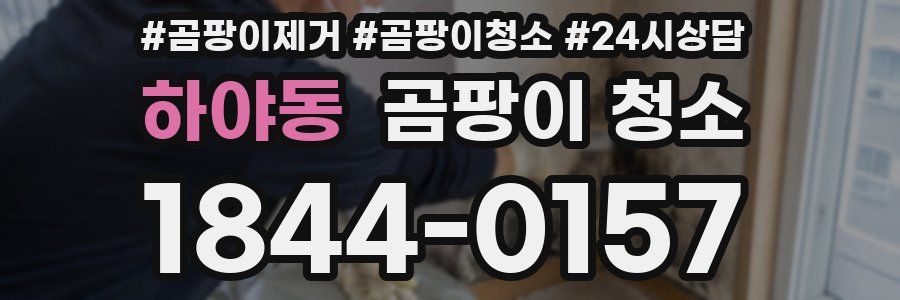 하야동 곰팡이 청소