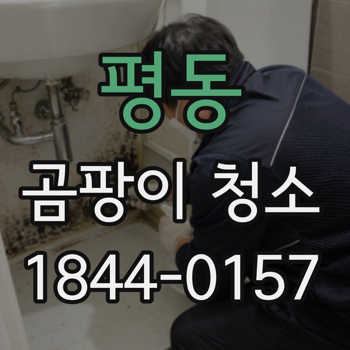 평동 곰팡이 청소