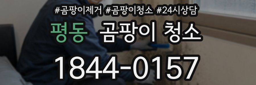 평동 곰팡이 청소