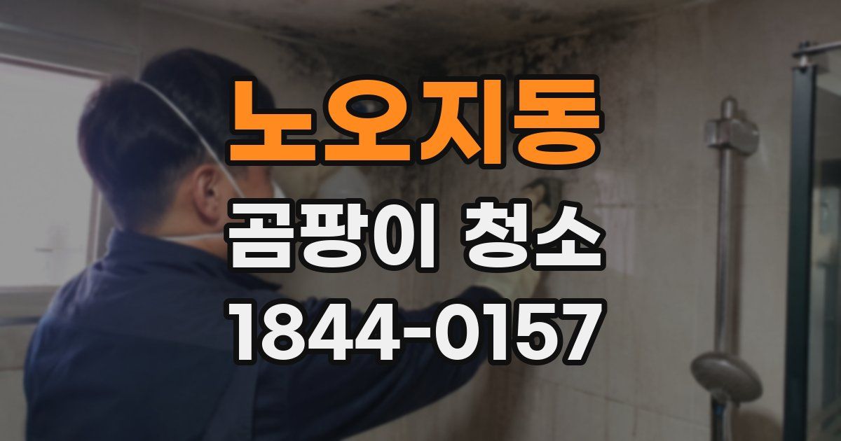 노오지동 곰팡이 청소