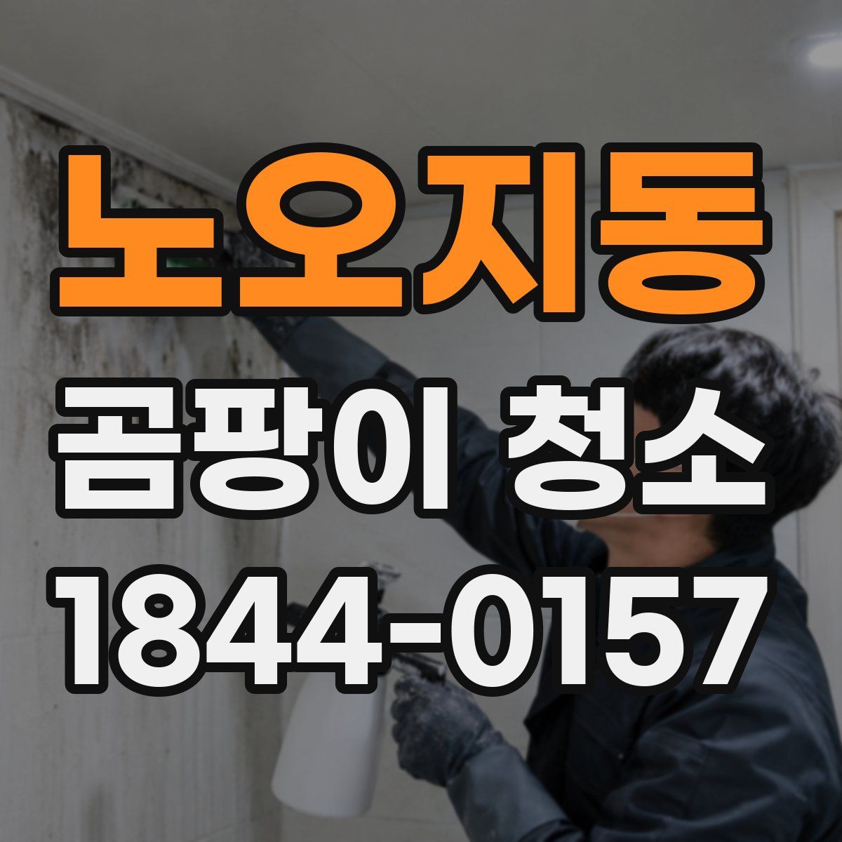 노오지동 곰팡이 청소