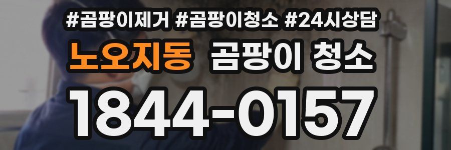 노오지동 곰팡이 청소