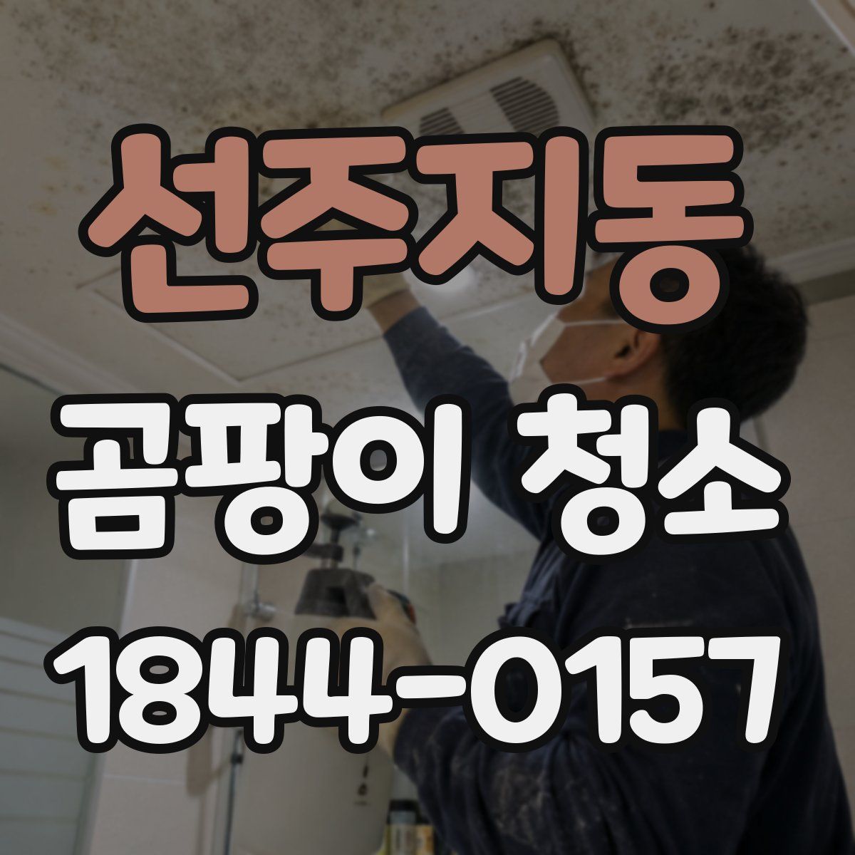 선주지동 곰팡이 청소