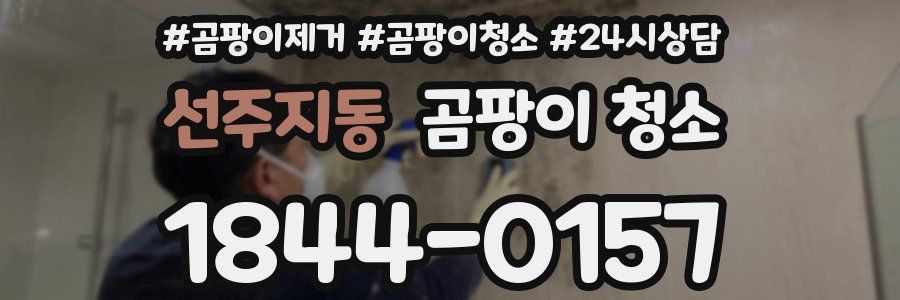 선주지동 곰팡이 청소
