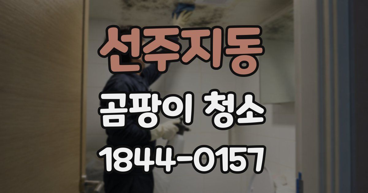 선주지동 곰팡이 청소