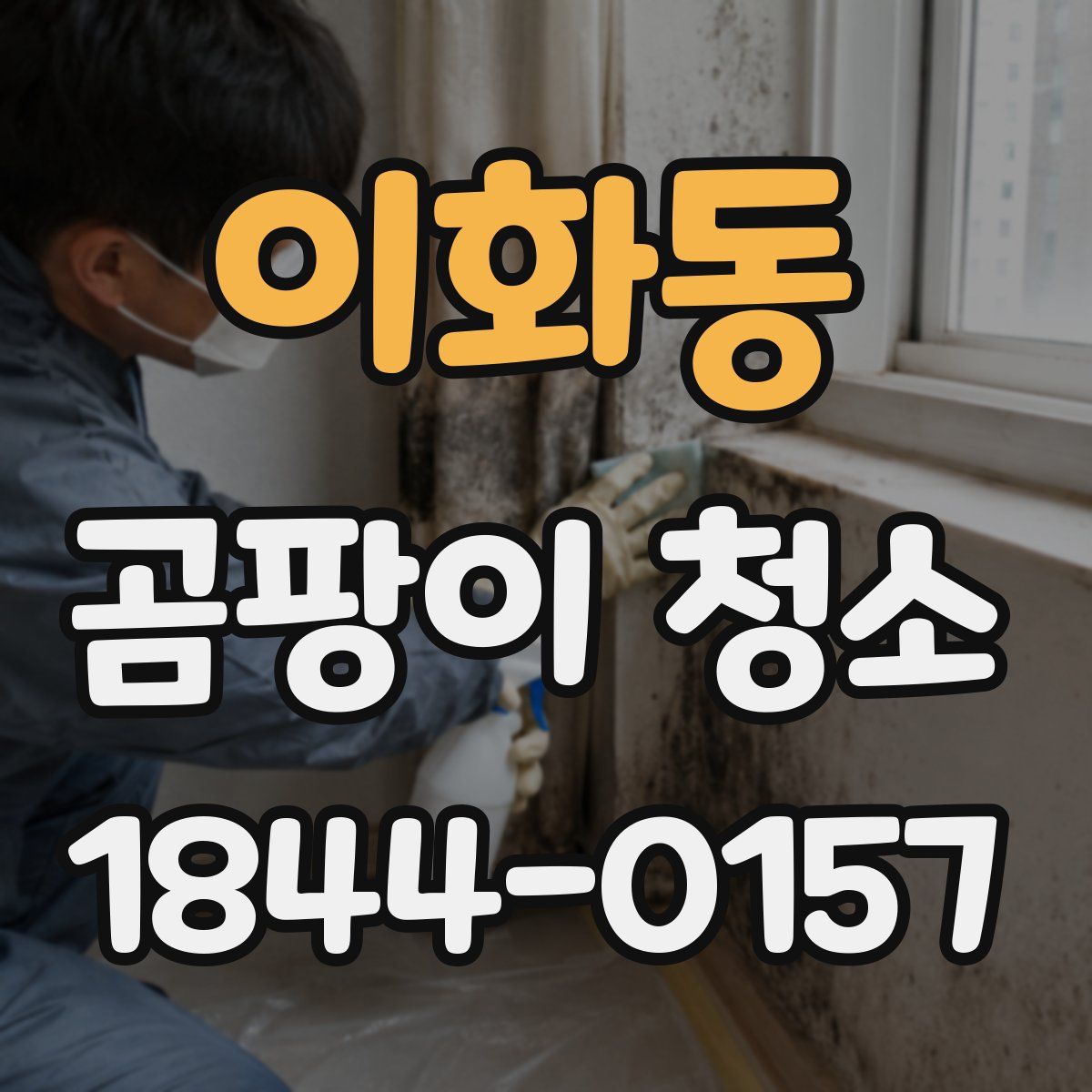 이화동 곰팡이 청소
