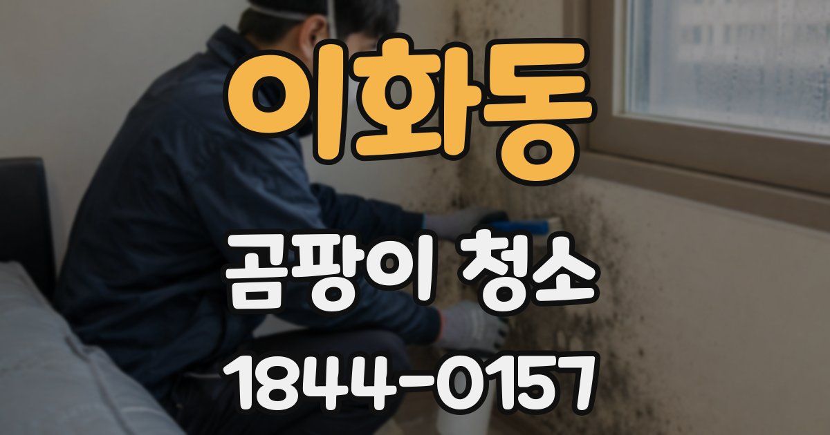 이화동 곰팡이 청소