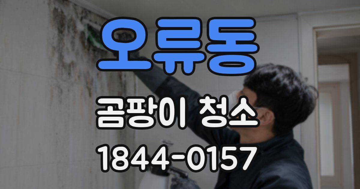 오류동 곰팡이 청소