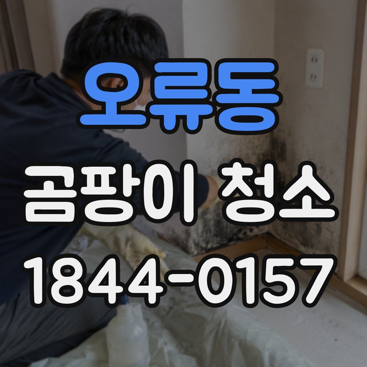 오류동 곰팡이 청소
