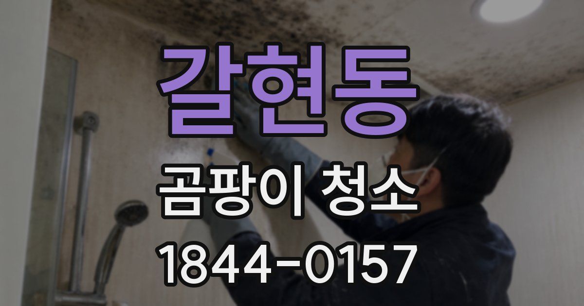 갈현동 곰팡이 청소