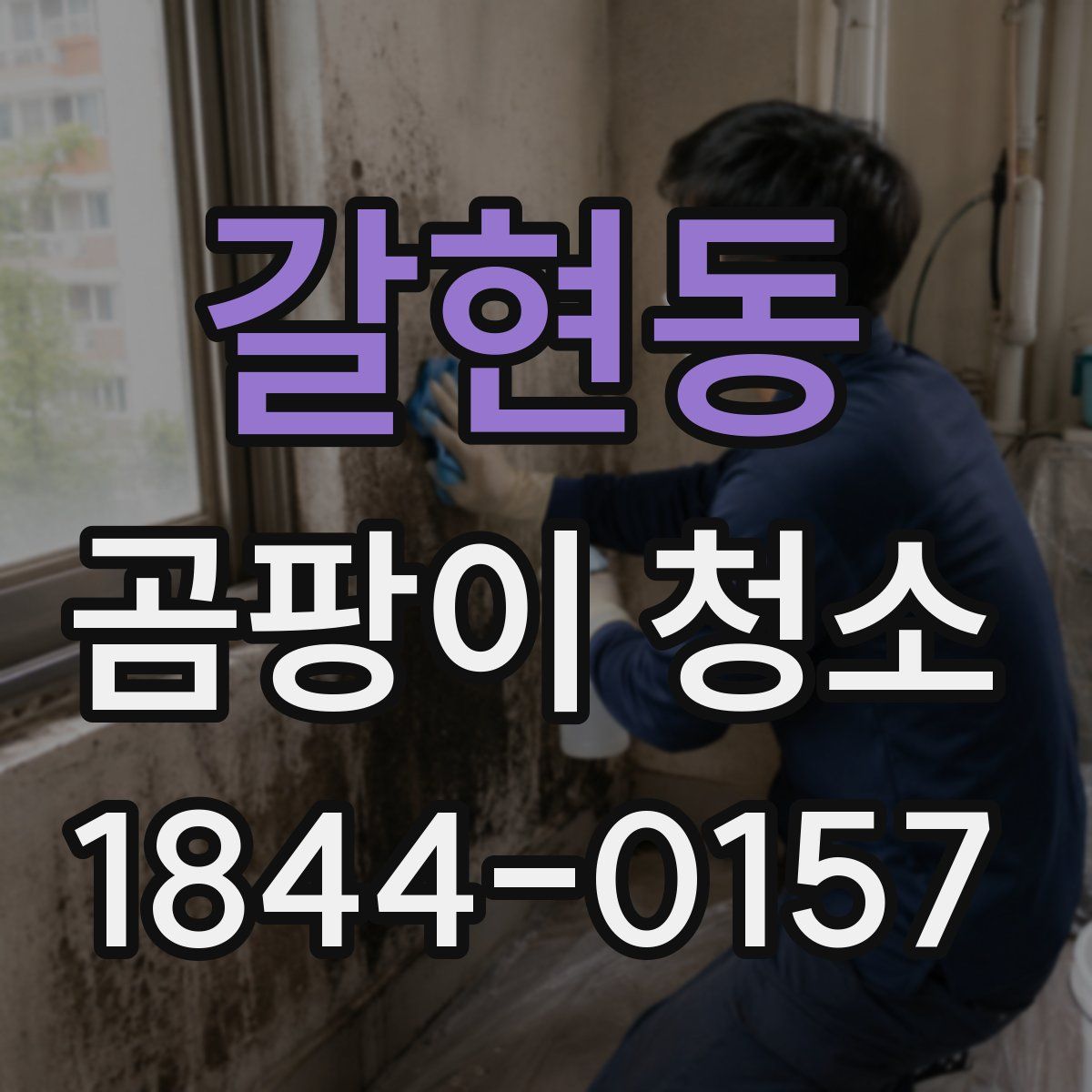 갈현동 곰팡이 청소