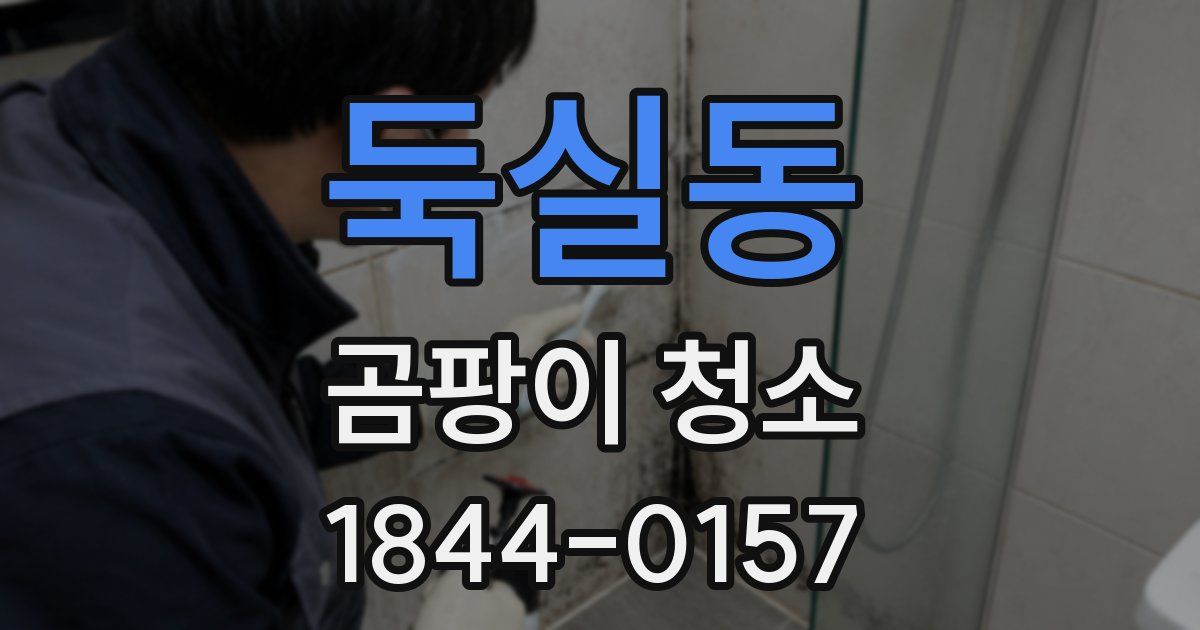 둑실동 곰팡이 청소