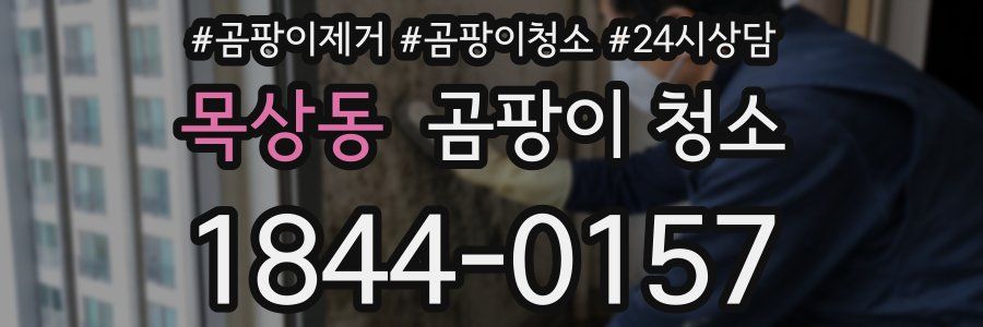 목상동 곰팡이 청소
