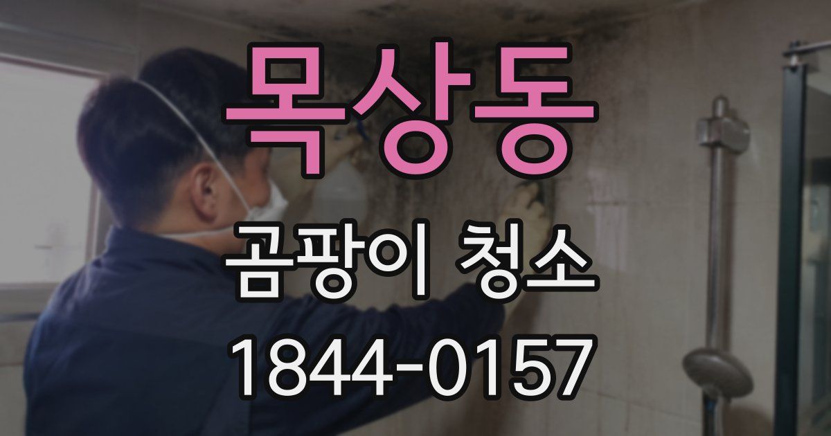 목상동 곰팡이 청소