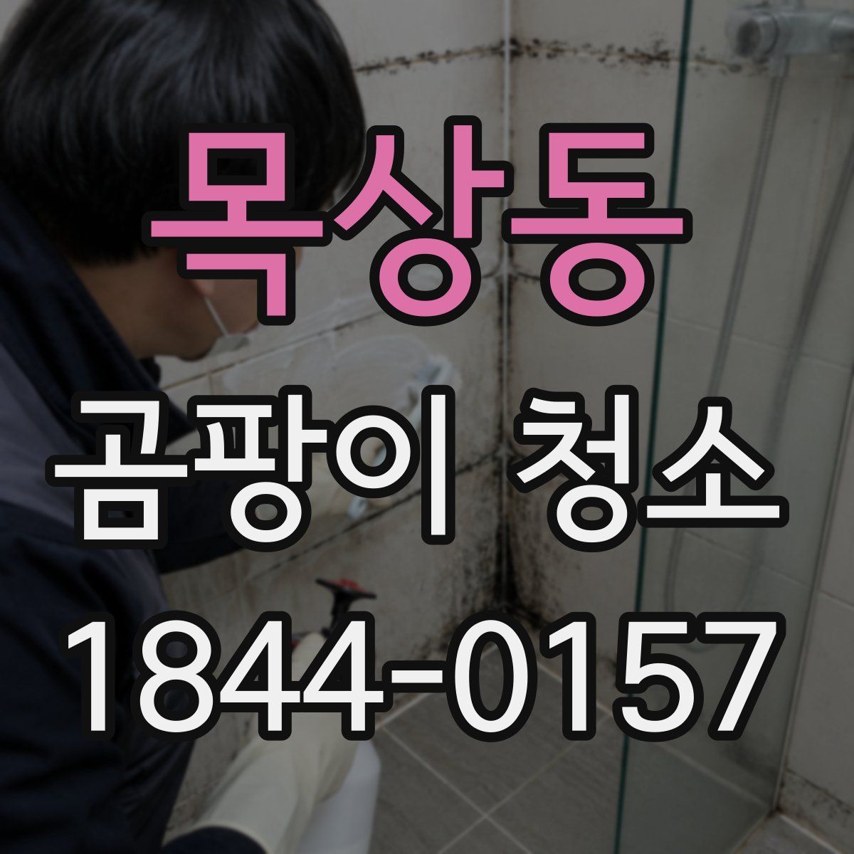목상동 곰팡이 청소