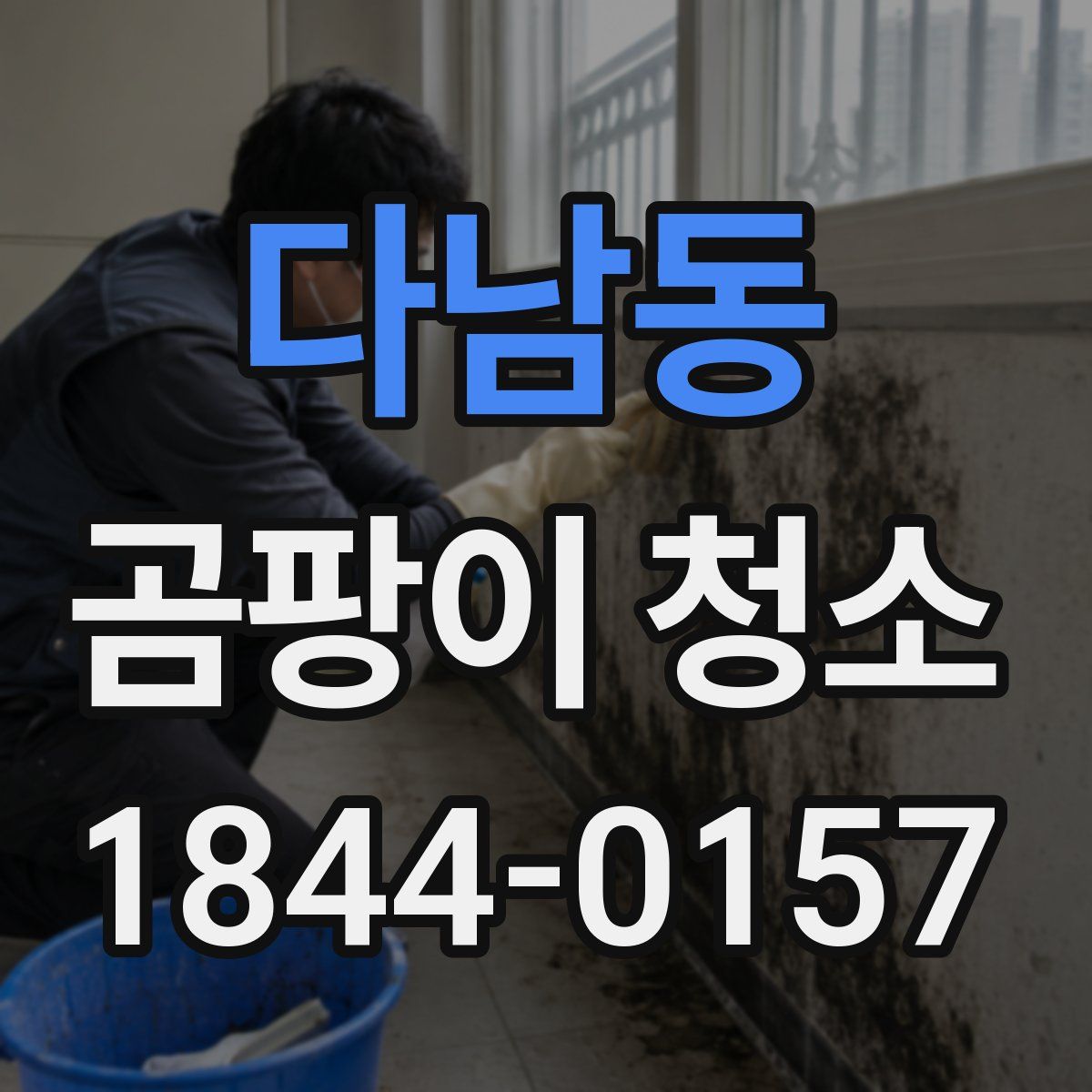 다남동 곰팡이 청소