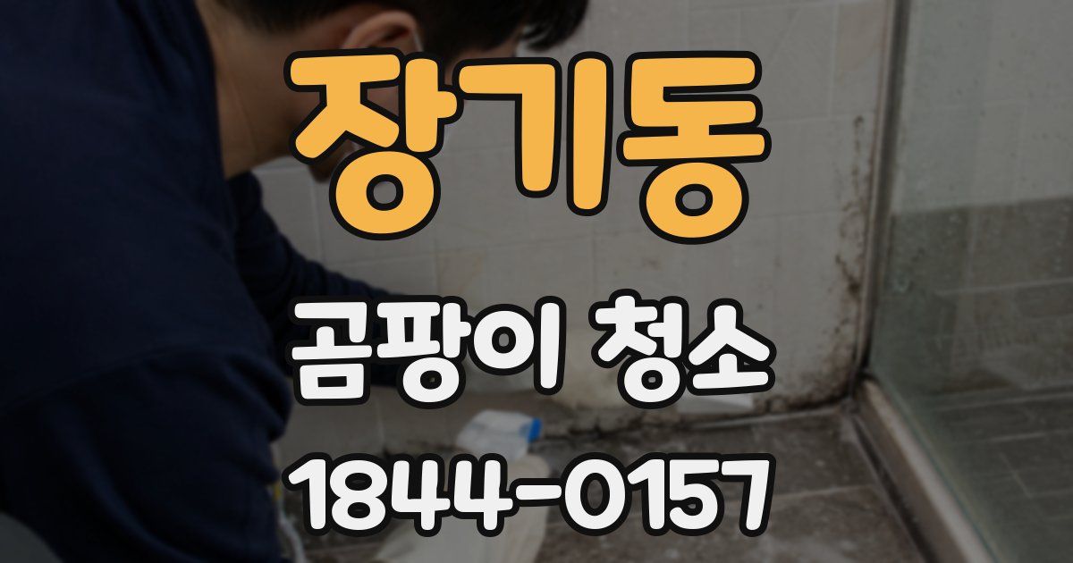 장기동 곰팡이 청소