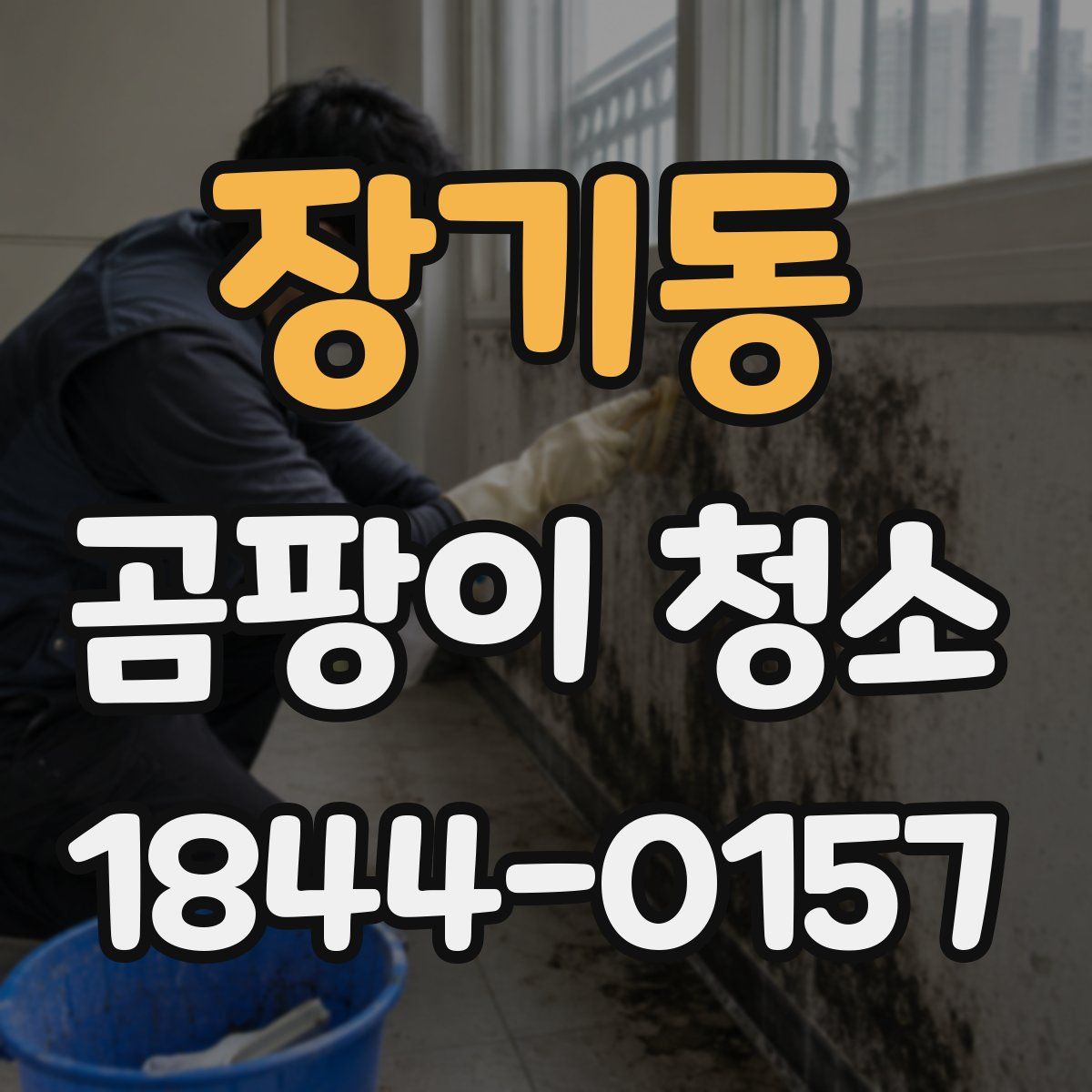 장기동 곰팡이 청소