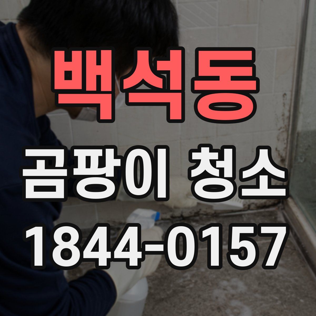 백석동 곰팡이 청소
