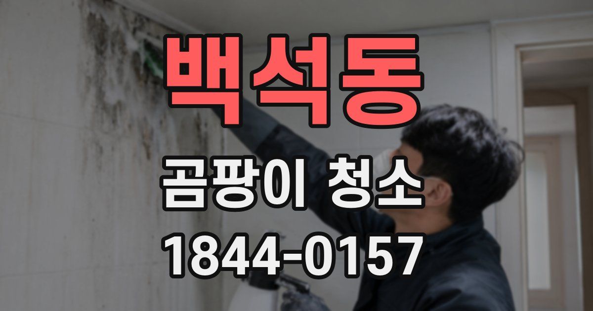 백석동 곰팡이 청소