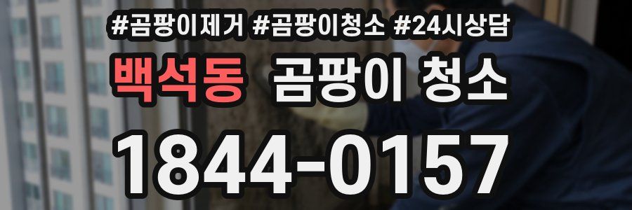 백석동 곰팡이 청소