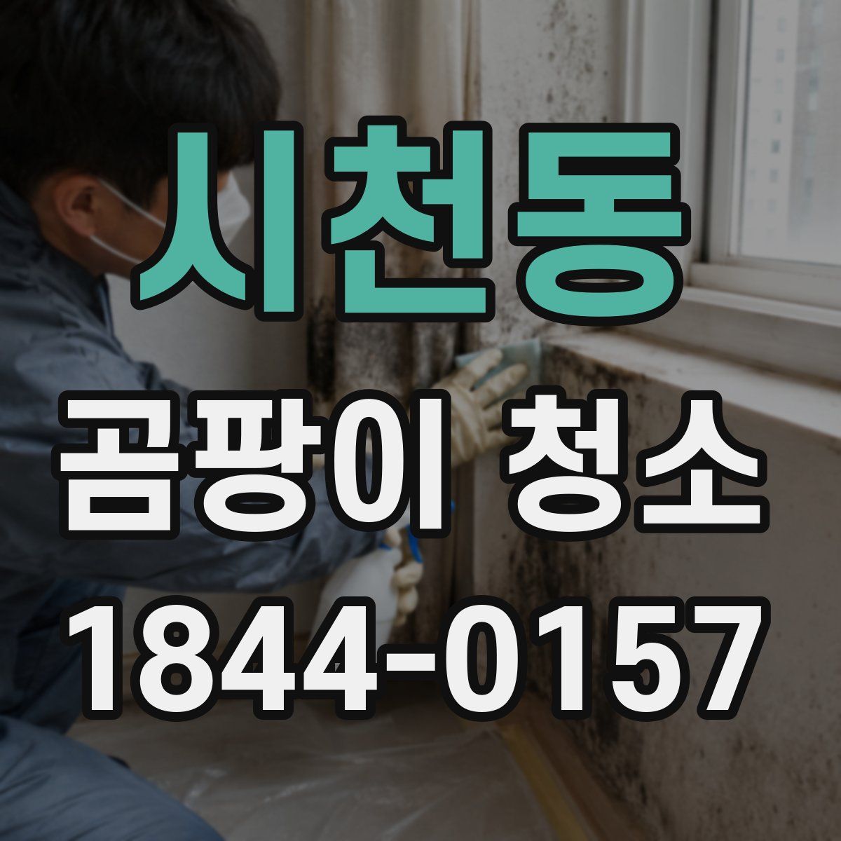 시천동 곰팡이 청소