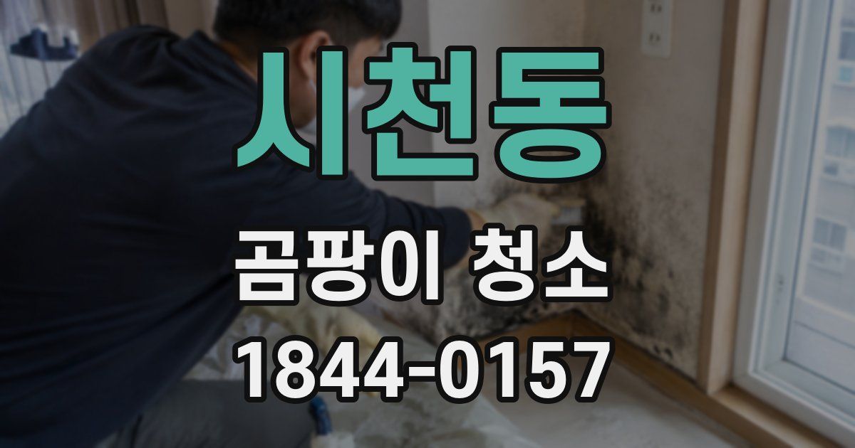 시천동 곰팡이 청소