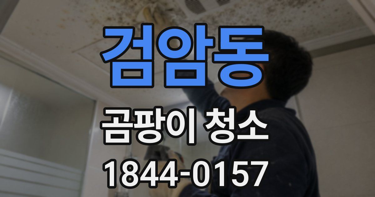 검암동 곰팡이 청소
