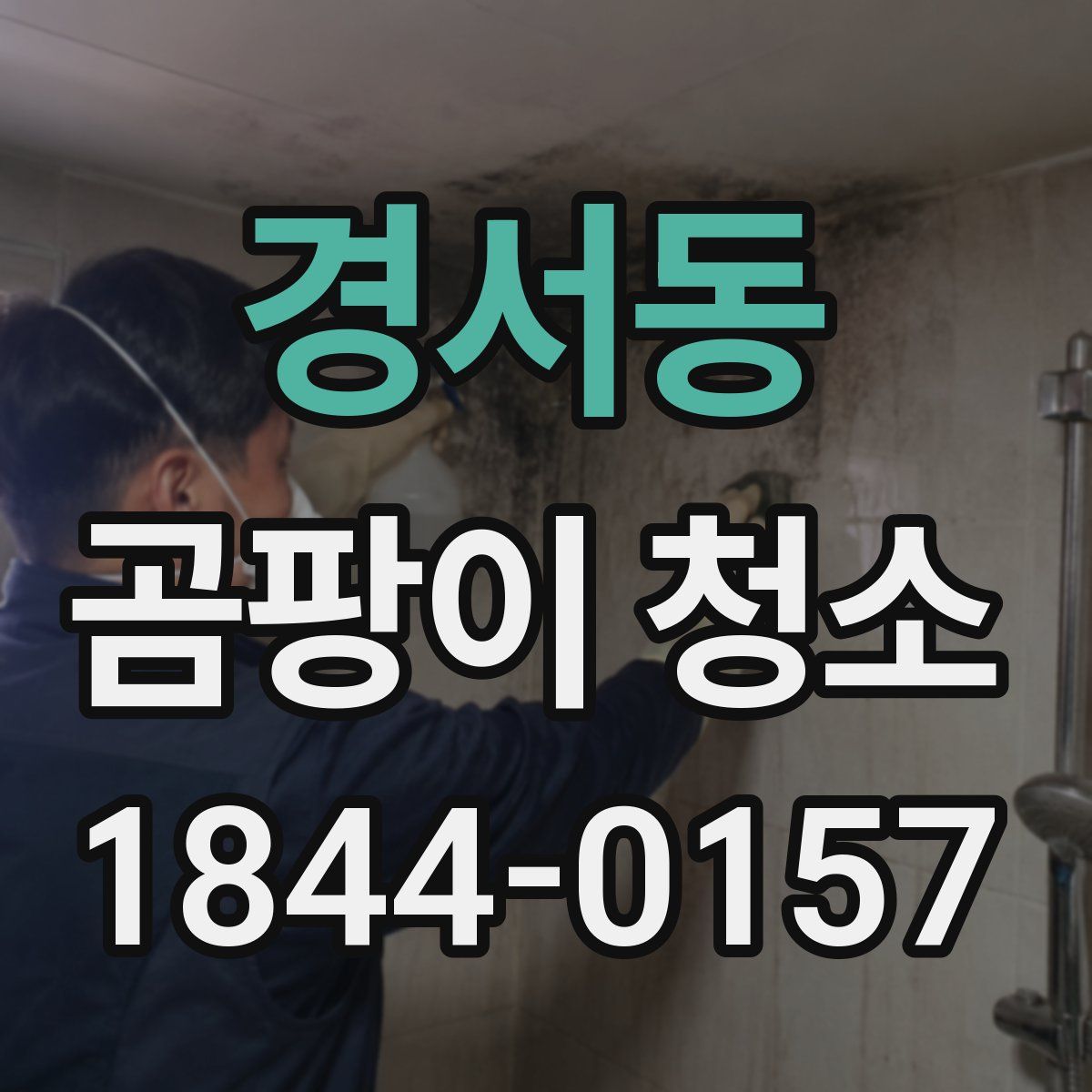 경서동 곰팡이 청소