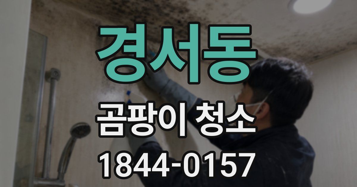 경서동 곰팡이 청소