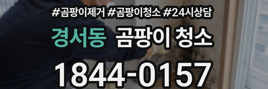 경서동 곰팡이 청소