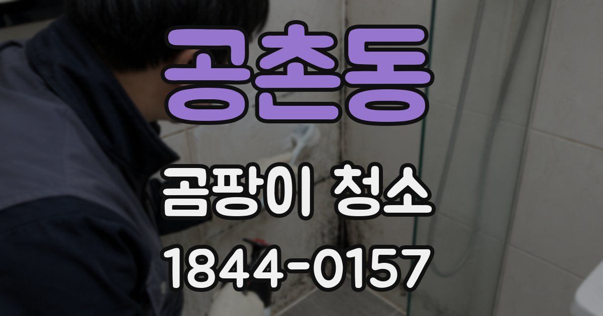 공촌동 곰팡이 청소