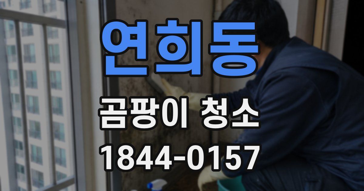 연희동 곰팡이 청소