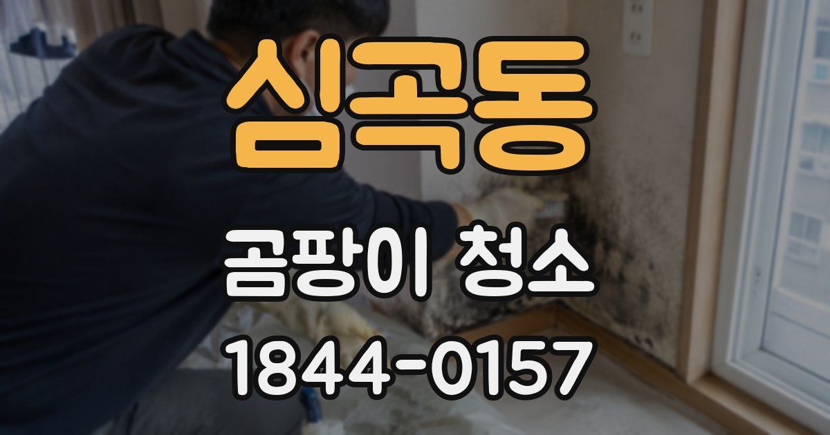 심곡동 곰팡이 청소