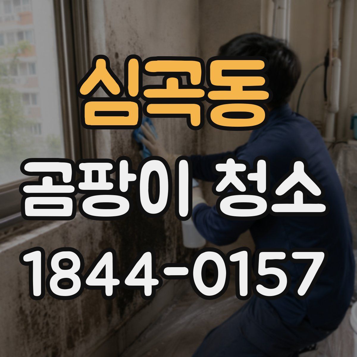 심곡동 곰팡이 청소
