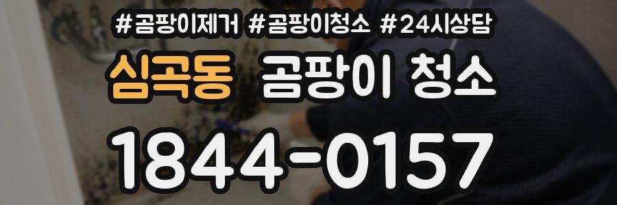 심곡동 곰팡이 청소
