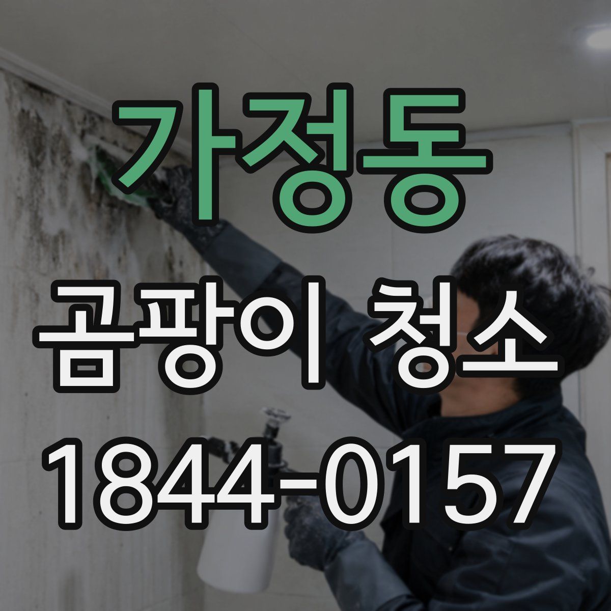 가정동 곰팡이 청소