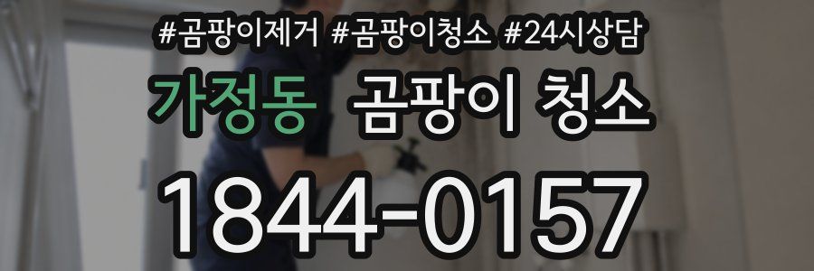 가정동 곰팡이 청소
