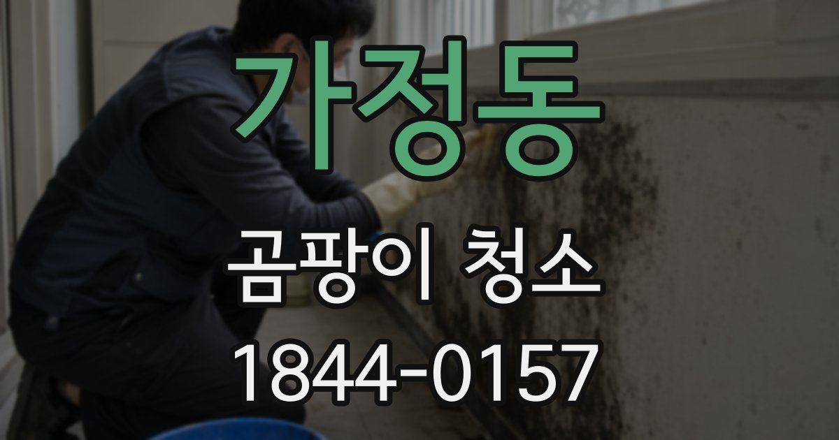 가정동 곰팡이 청소